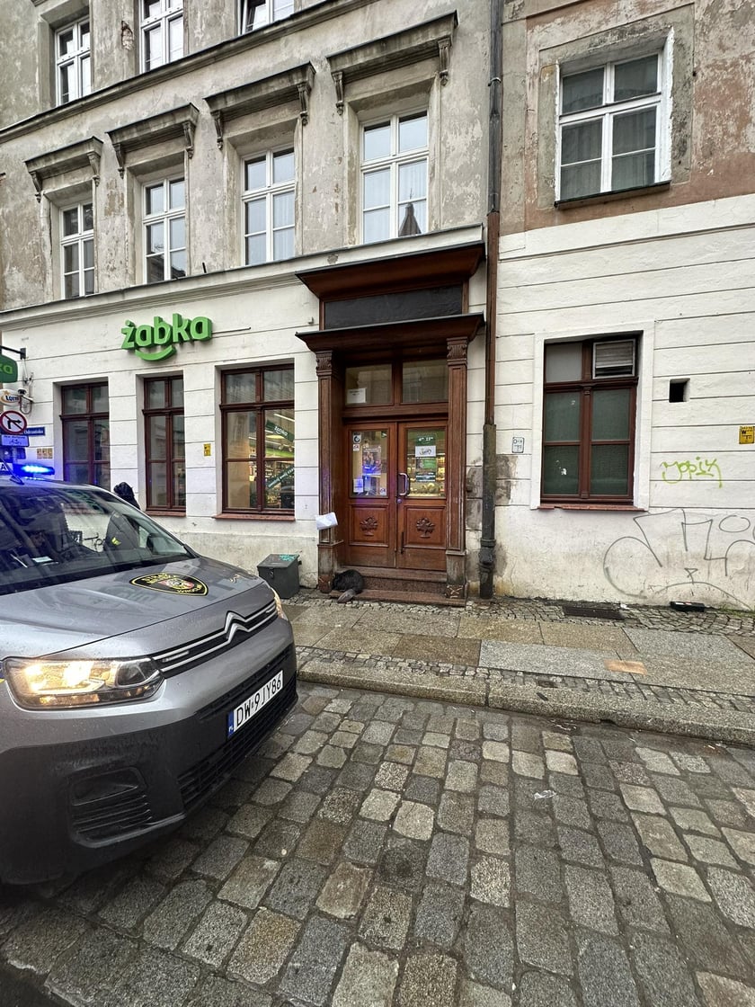 Bóbr na schodkach sklepu przy ul. Odrzańskiej
