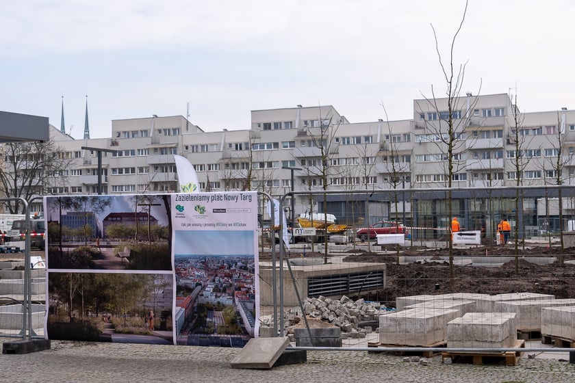 Sadzenie drzew na Nowym Targu, marzec 2024