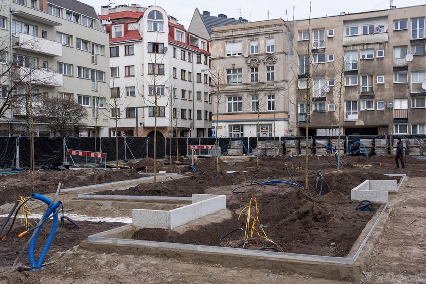 Sadzenie drzew na Nowym Targu, marzec 2024