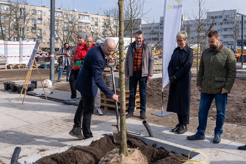 Sadzenie drzew na Nowym Targu, marzec 2024