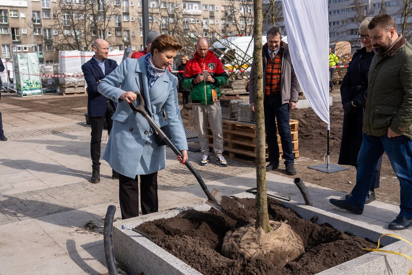 Sadzenie drzew na Nowym Targu, marzec 2024