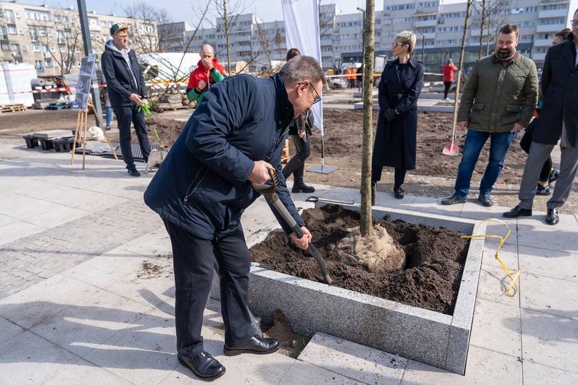 Sadzenie drzew na Nowym Targu, marzec 2024