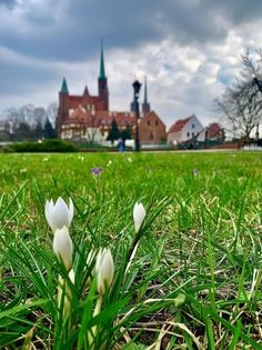 Wiosna 2024 we Wrocławiu