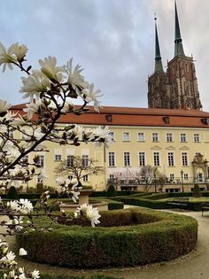 Wiosna 2024 we Wrocławiu