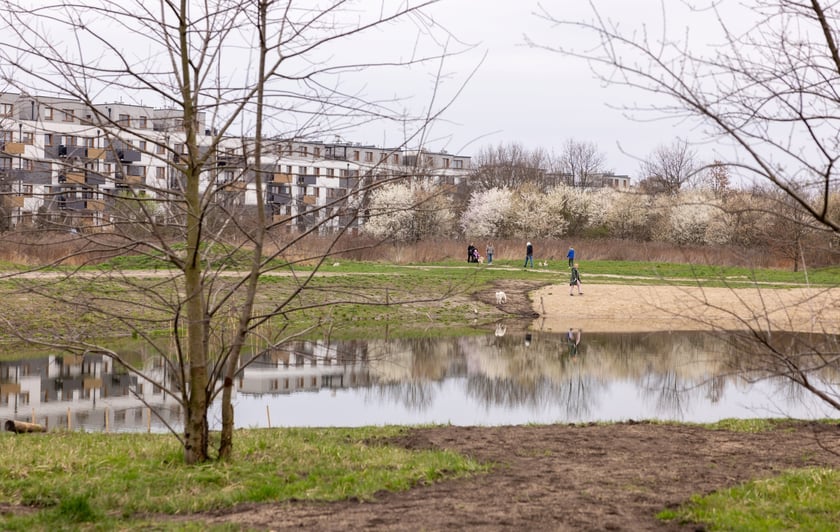Park Krzycki