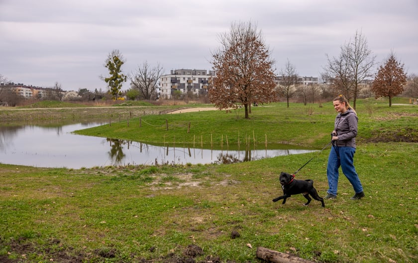 Park Krzycki