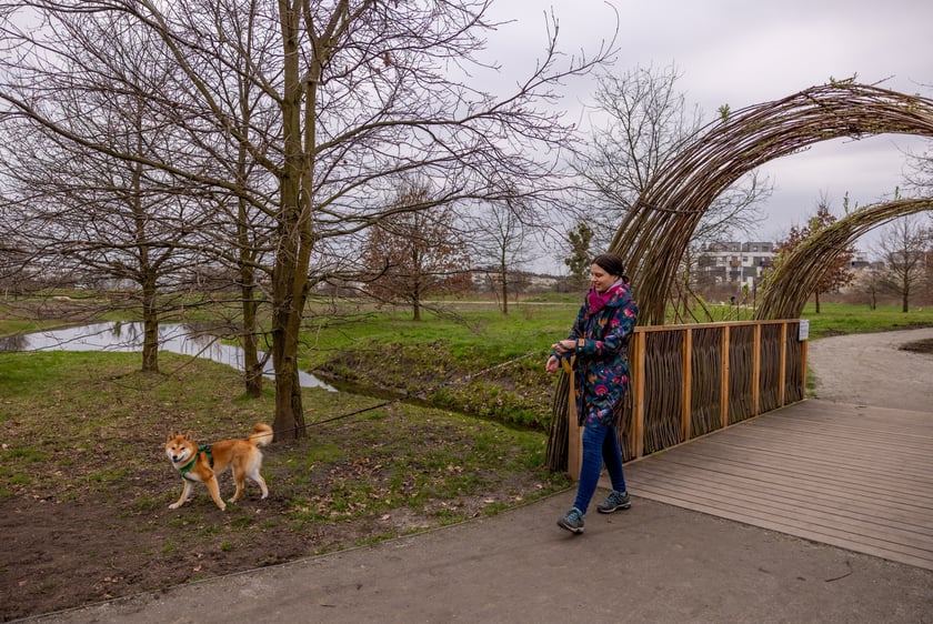 Park Krzycki
