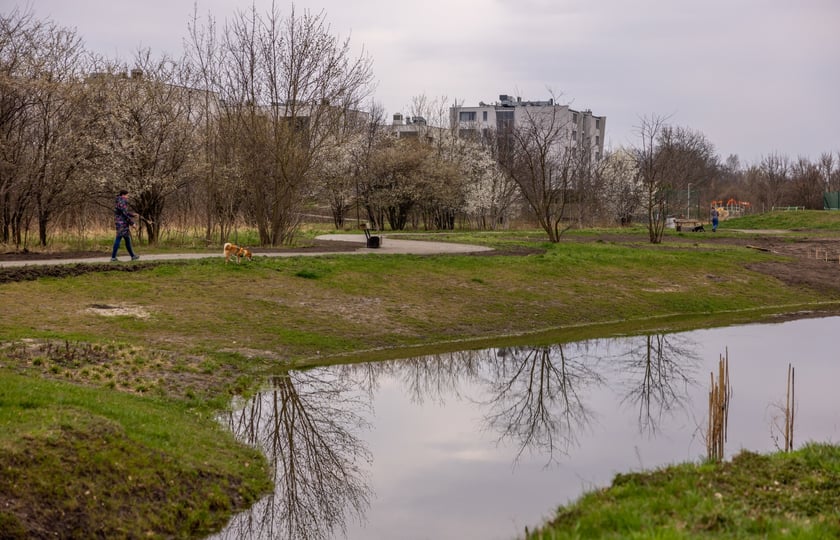 Park Krzycki