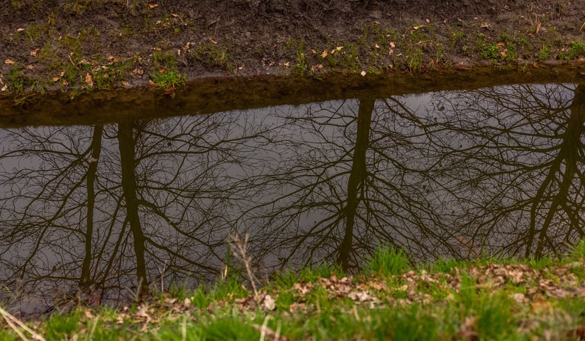 Park Krzycki