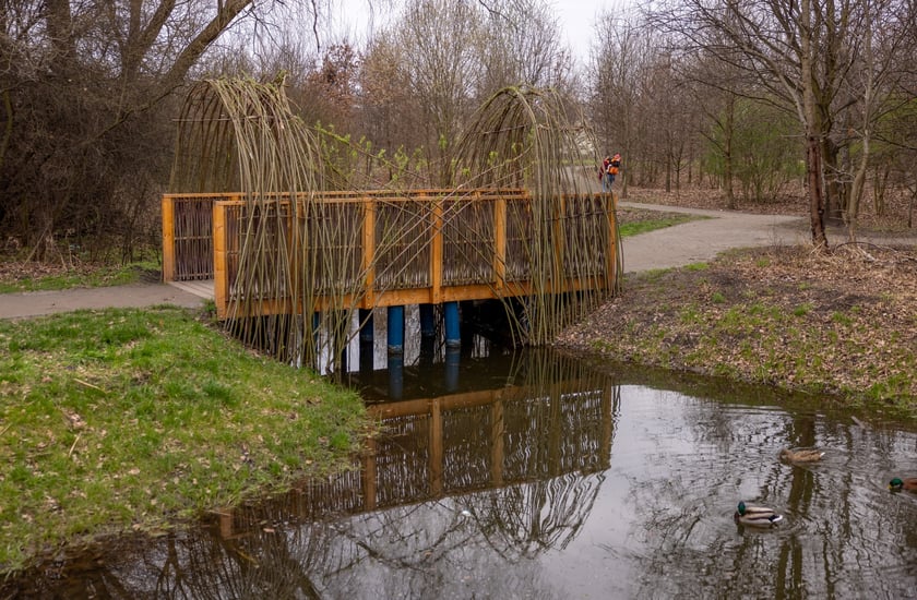 Dolina Olsz&oacute;wki Krzyckiej wypiękniała. Pojawiły się zbiorniki wodne, mostki, ławki i ścieżki spacerowe.&nbsp;