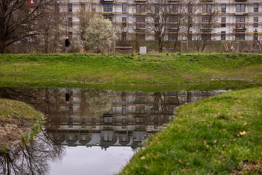 Park Krzycki