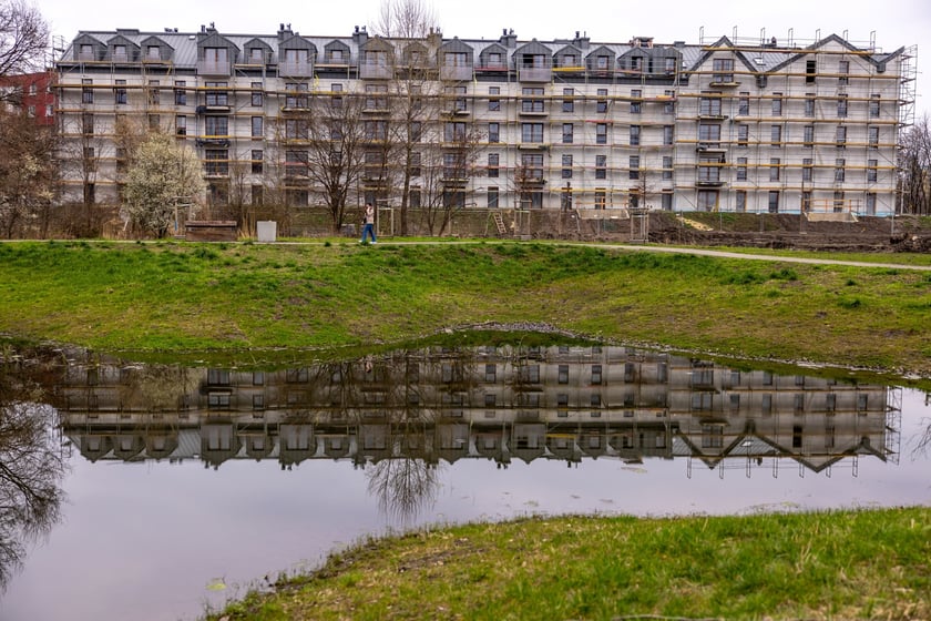 Park Krzycki