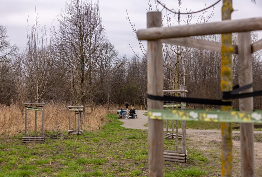 Park Krzycki