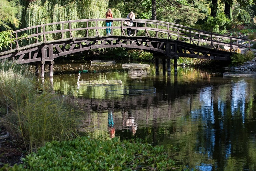 Wrocławski Ogr&oacute;d Botaniczny otwiera się już 1 kwietnia. I to nie prima aprilis.&nbsp;