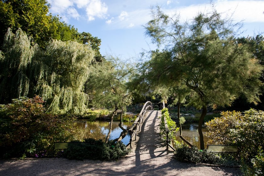 Wrocławski Ogr&oacute;d Botaniczny otwiera się już 1 kwietnia. I to nie prima aprilis.&nbsp;