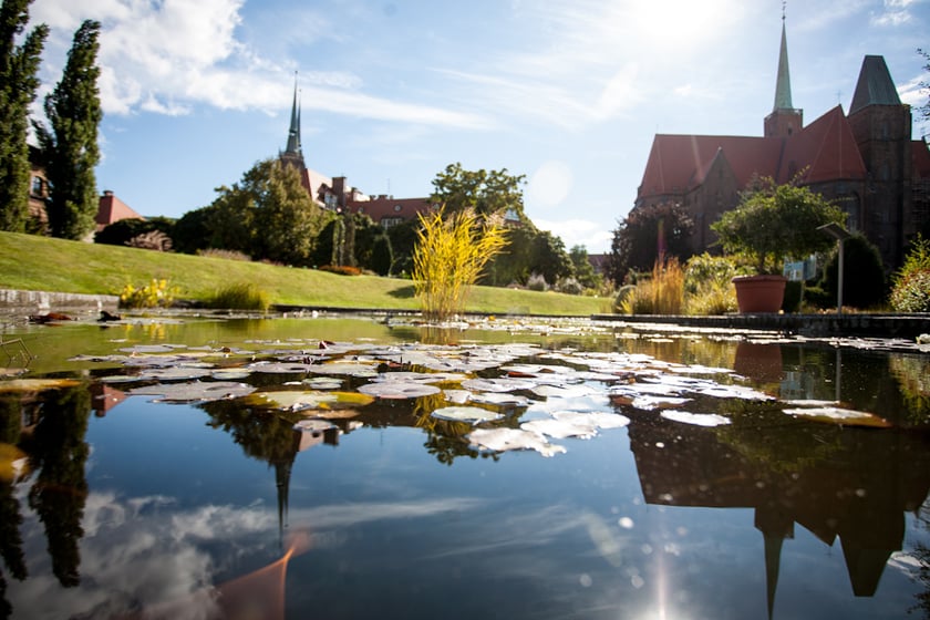 Wrocławski Ogr&oacute;d Botaniczny otwiera się już 1 kwietnia. I to nie prima aprilis.&nbsp;