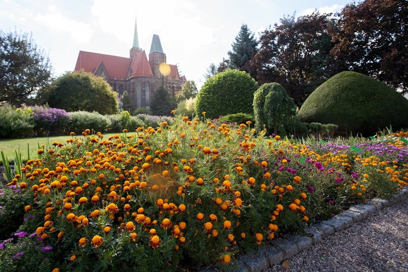 Wrocławski Ogr&oacute;d Botaniczny otwiera się już 1 kwietnia. I to nie prima aprilis.&nbsp;
