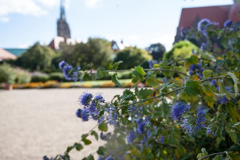 Wrocławski Ogr&oacute;d Botaniczny otwiera się już 1 kwietnia. I to nie prima aprilis.&nbsp;