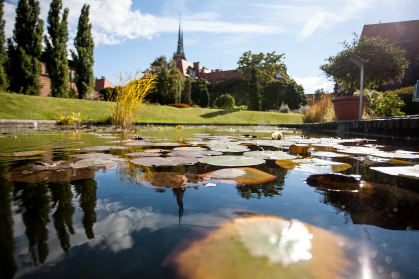 Wrocławski Ogr&oacute;d Botaniczny otwiera się już 1 kwietnia. I to nie prima aprilis.&nbsp;