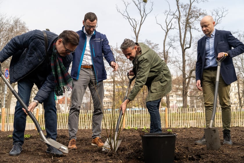 Sadzenie lasu kieszonkowego Miyawaki we Wrocławiu, 21.03.2024