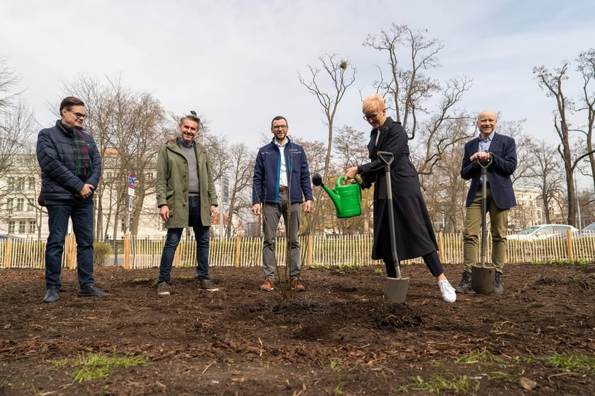 Sadzenie lasu kieszonkowego Miyawaki we Wrocławiu, 21.03.2024