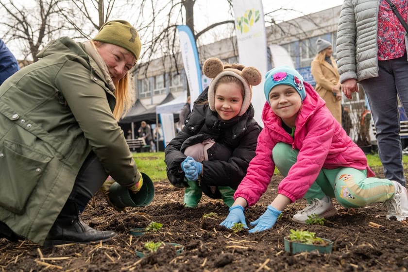 Sadzenie lasu kieszonkowego Miyawaki we Wrocławiu, 21.03.2024