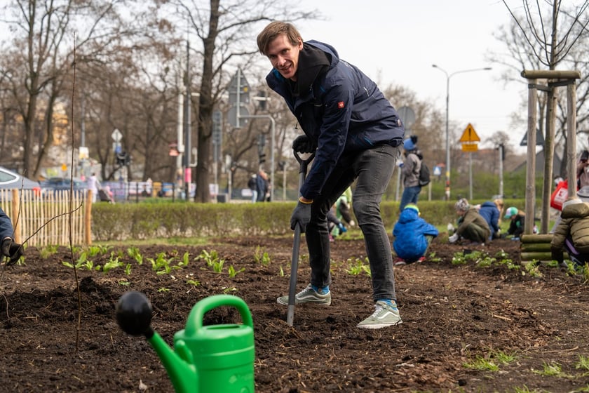 Sadzenie lasu kieszonkowego Miyawaki we Wrocławiu, 21.03.2024
