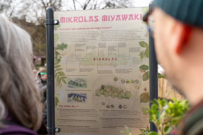 Sadzenie lasu kieszonkowego Miyawaki we Wrocławiu, 21.03.2024