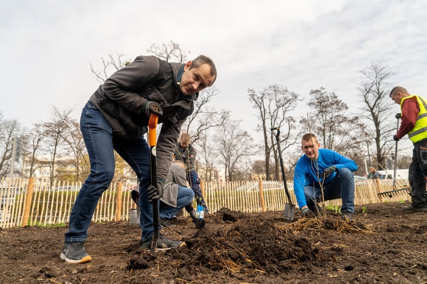 Sadzenie lasu kieszonkowego Miyawaki we Wrocławiu, 21.03.2024
