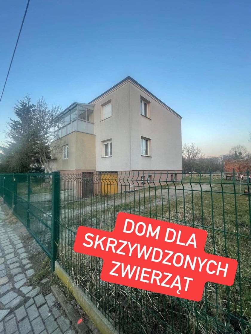 Dom dla Skrzywdzonych Zwierząt przy ul. Rędzińskiej