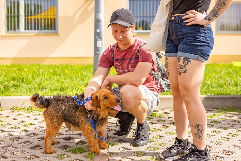 Wiosenny Kiermasz Charytatywny w&nbsp;Schronisku dla Bezdomnych Zwierząt we Wrocławiu