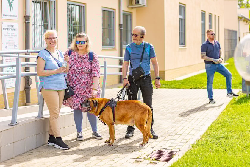 Wiosenny Kiermasz Charytatywny w&nbsp;Schronisku dla Bezdomnych Zwierząt we Wrocławiu