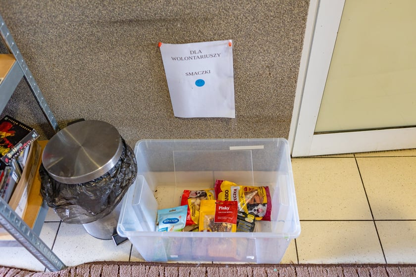 Wiosenny Kiermasz Charytatywny w&nbsp;Schronisku dla Bezdomnych Zwierząt we Wrocławiu