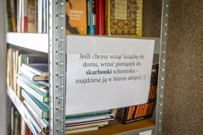 Wiosenny Kiermasz Charytatywny w&nbsp;Schronisku dla Bezdomnych Zwierząt we Wrocławiu