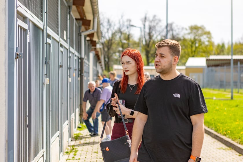 Wiosenny Kiermasz Charytatywny w&nbsp;Schronisku dla Bezdomnych Zwierząt we Wrocławiu