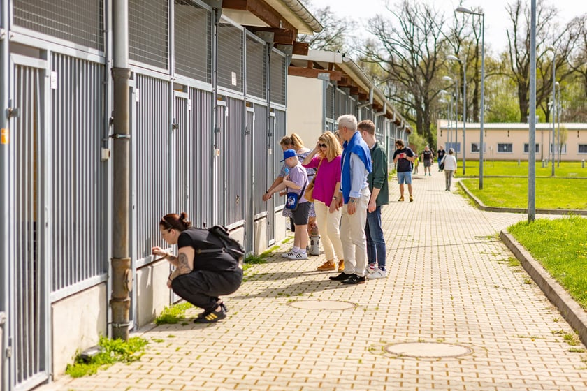 Wiosenny Kiermasz Charytatywny w&nbsp;Schronisku dla Bezdomnych Zwierząt we Wrocławiu