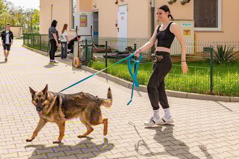 Wiosenny Kiermasz Charytatywny w&nbsp;Schronisku dla Bezdomnych Zwierząt we Wrocławiu