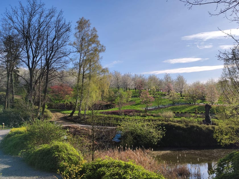Arboretum Wojsławice