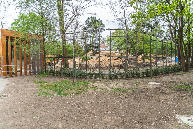 Postępy na budowie lwiarni
