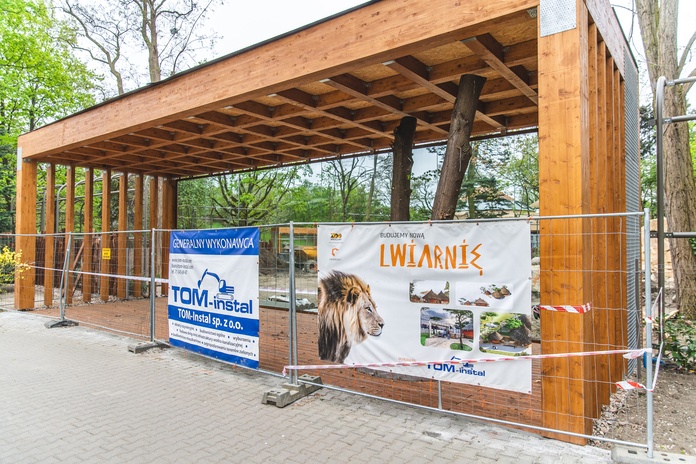Postępy na budowie lwiarni