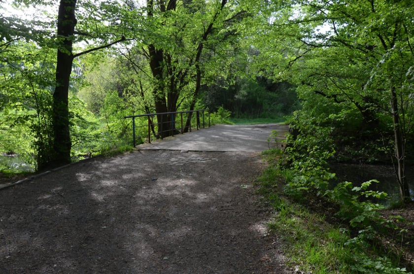 Las Strachociński, mostek na Piskornej