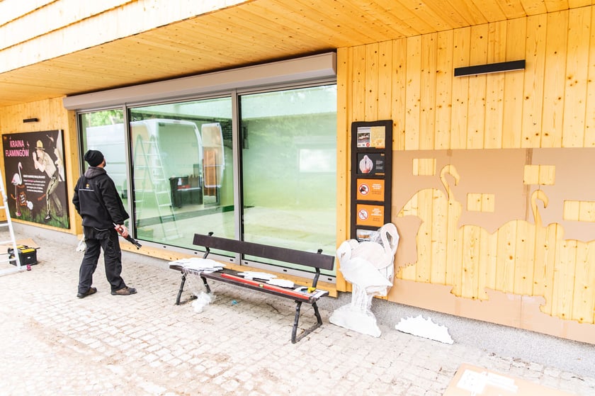 Nowy wybieg i pawilon dla flamingów w zoo Wrocław