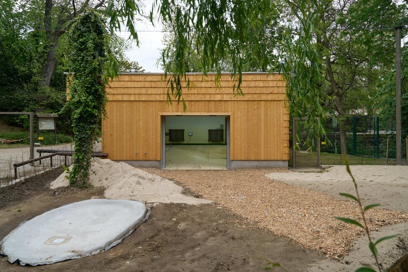 Nowy pawilon i wybieg dla flamingów w zoo Wrocław