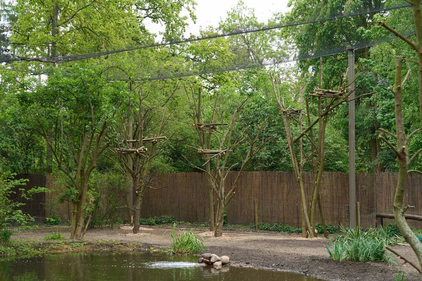 Nowy pawilon i wybieg dla flamingów w zoo Wrocław