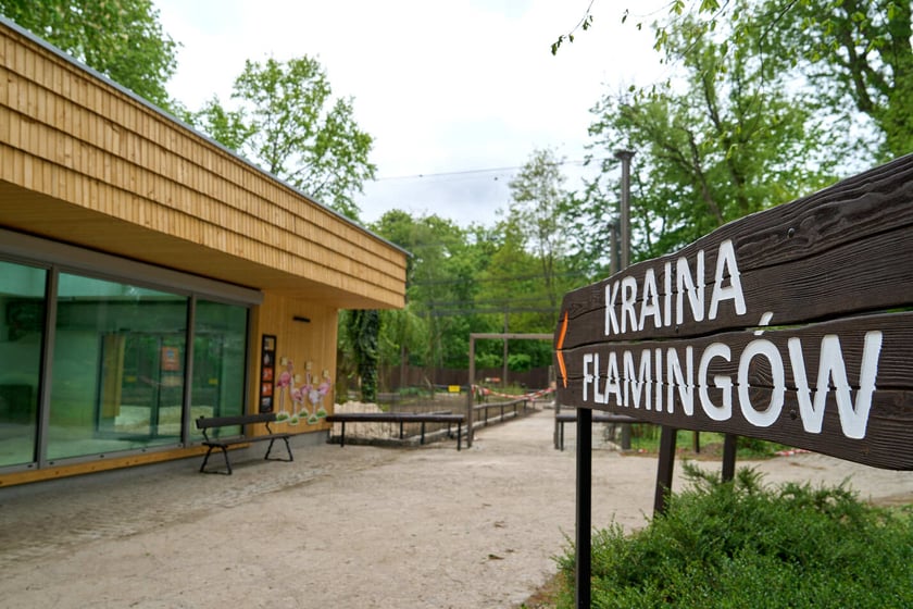 Nowy pawilon i wybieg dla flamingów w zoo Wrocław