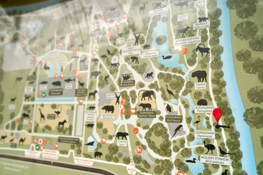 Nowy pawilon i wybieg dla flamingów w zoo Wrocław