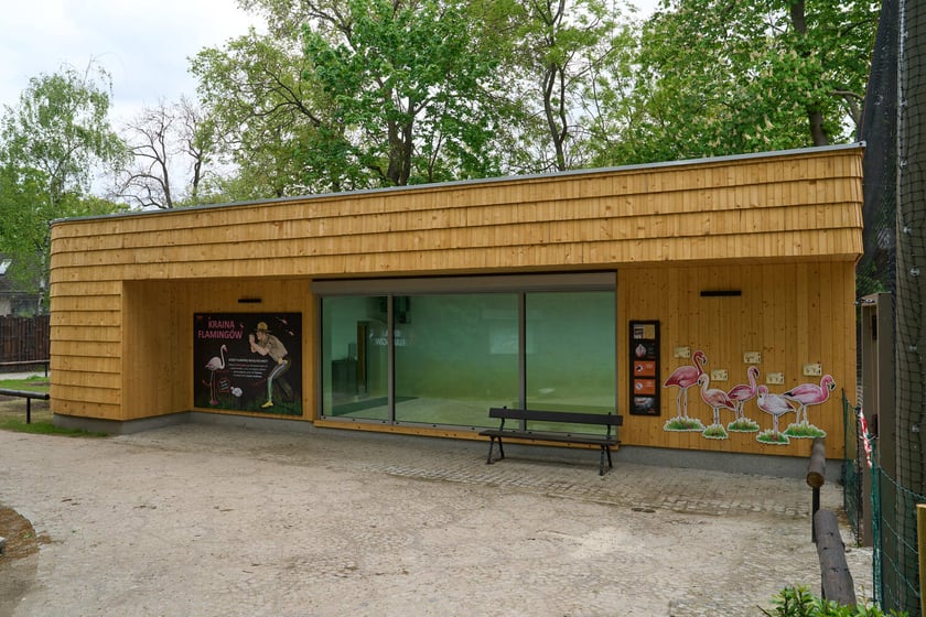 Nowy pawilon i wybieg dla flamingów w zoo Wrocław