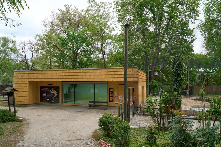Nowy pawilon i wybieg dla flamingów w zoo Wrocław