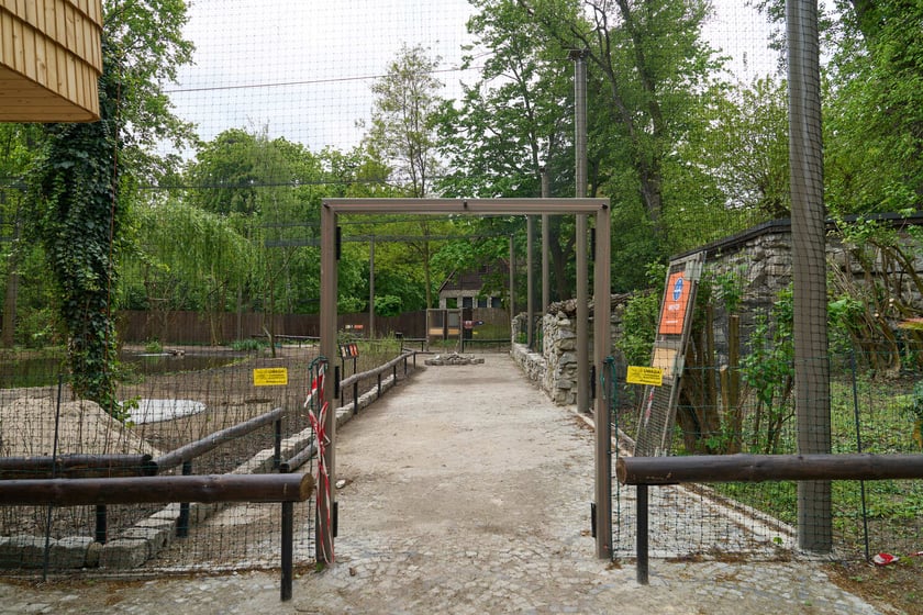 Nowy pawilon i wybieg dla flamingów w zoo Wrocław
