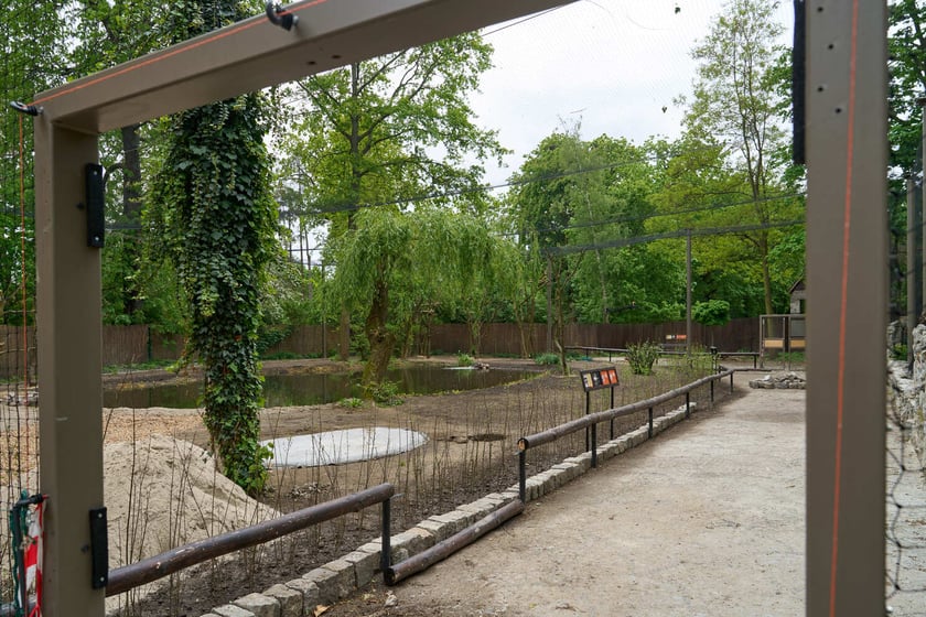 Nowy pawilon i wybieg dla flamingów w zoo Wrocław
